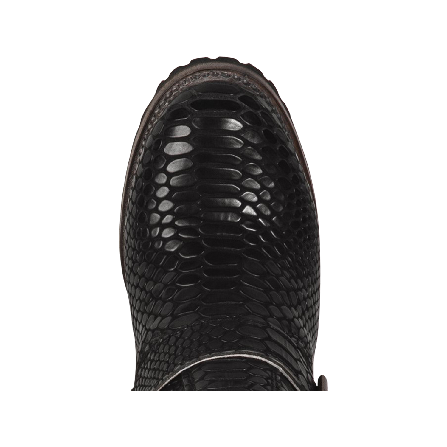 Carlito black snake ankle bootie with round toe